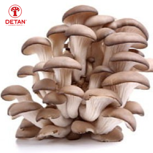 Harga Jamur Tiram Organik Segar Abu-abu Ekspor Cina - Product Image 6