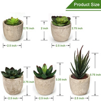 Plantes succulentes artificielles en pot, assorties de fausses plantes succulentes décoratives en pot de faux cactus avec des pots