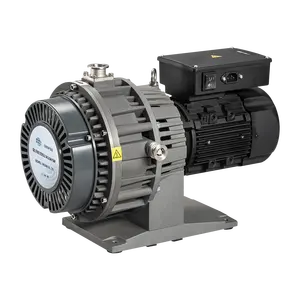GWSP300 pompe à vide à faible bruit et à faible énergie sans entretien et sans huile pour revêtement et PVD/CVD/PLD, pompe à spirale sans huile