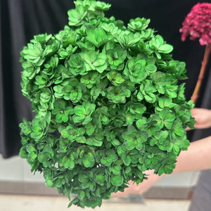 Hortensia Roja de Hoja Grande y Doble Flor, Tamaño Personalizado, Decoración de Boda, Conservada para Siempre, Superventas en Kunming Ruipu - Product Image 3