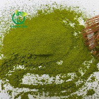 Poudre de matcha à la betterave, mélange de poudre de matcha à la betterave et au thé vert pour la pâtisserie, les lattes et les aliments fonctionnels (matière première)