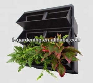 La agricultura <span class=keywords><strong>Vertical</strong></span> <span class=keywords><strong>pared</strong></span> verde campo verde de maceta de flores y jardín <span class=keywords><strong>vertical</strong></span> verde de la <span class=keywords><strong>pared</strong></span> - Product Image 3