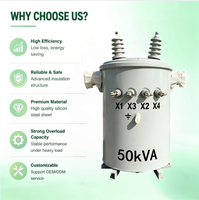 Transformateur monophasé OEM D11 MV/HV 80 kVA résistant aux intempéries, immergé dans l'huile, refroidi par ONAN, monté sur poteau, bobinage cuivre/aluminium