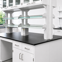 Meuble de laboratoire modulaire moderne : îlot de travail avec armoires en acier, armoires de rangement supérieures et étagères à réactifs pour laboratoires