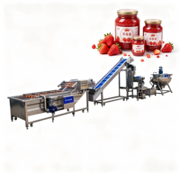 Volledig automatische tomatenpuree productielijn kook-, meng-, vul- en verzegelmachine voor ketchup, saus en voedingsmiddelenfabrieken