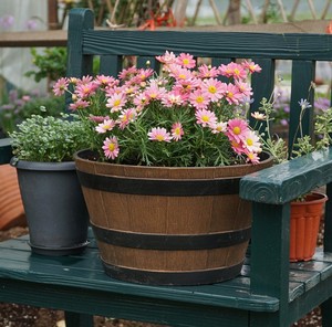 Elegante Jardinera de Madera con Forma de Barril para Jardín, Maceta Cilíndrica Clásica para Decoración - Product Image 3