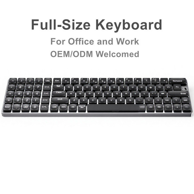 Private Mold Mechanical Keyboard 3 Modes +2.4G+Wired Built-in Battery or Removable Type 95 Keys for Office Work
