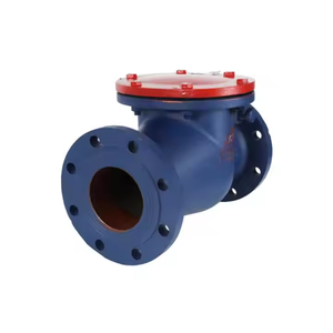 Válvula de Retención de Columpio Tipo Swing Start PN10 PN16 de Hierro Fundido Gris HT200 con Brida y Sello Metálico - Precio de Fábrica, ¡Venta Caliente! - Product Image 1