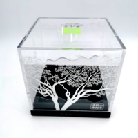 Boîte de vitrine anti-poussière en plexiglas acrylique transparent personnalisé de haute qualité