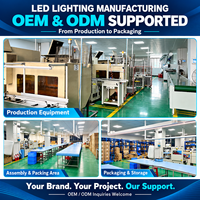 Bande LED large de 35 mm, haute luminosité, ruban LED flexible, 3000 lm par mètre, IP20, blanc 3000K 4000K 6000K pour l'éclairage commercial