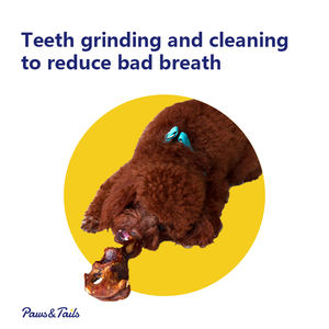 Layanan Oem pabrik Cina penjualan langsung stik Sapi tulang daging anjing molar gigi bersih anjing makanan ringan 100% katun Protein tinggi - Product Image 2