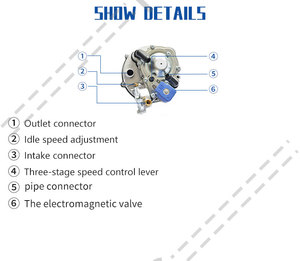 Réducteur GPL AT07 pour conversion autogas, vaporisateur, gazéificateur GPL, réducteur GPL pour <span class=keywords><strong>kit</strong></span> de conversion carburateur/EFI, vente en gros usine - Product Image 4