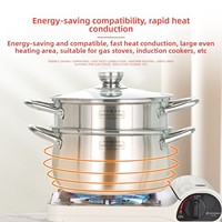 Marmite en acier inoxydable 304 avec couvercle en verre, double poignée, compatible induction, panier vapeur, pour cuisson domestique