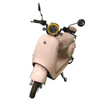 Vente directe d'usine, motos de tourisme ZHICHI avec moteur de 1000W, batterie au lithium 60V, 40-60 km/h