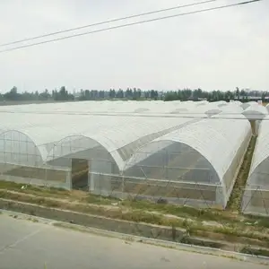 multi-span commercial vegetable seeds hydroponic greenhouse for sale for agriculture growing mushroom