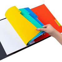 Feuilles de séparation en plastique A4 à 11 trous, séparateurs de classeur colorés, fabricant