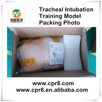 Modelo de Entrenamiento Avanzado para Intubación Endotraqueal en Adultos BIX-J50 |   Simulador Realista Avanzado de Manejo de Vías Respiratorias de PVC de Tamaño Natural
