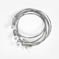 Custom Electric Guitar Strings Indian Musical Instruments