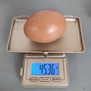 Faux œufs <span class=keywords><strong>de</strong></span> pâques en plastique, jouet pour enfants, jeu <span class=keywords><strong>de</strong></span> <span class=keywords><strong>cuisine</strong></span>, nourriture, jeu <span class=keywords><strong>de</strong></span> poulet, réaliste - Product Image 3