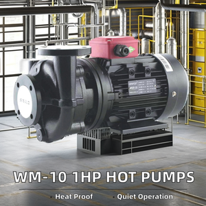 مضخات طرد مركزي 1HP 0.75kw 18m برأس 150lpm تستخدم درجة حرارة عالية الحديد الماء الساخن الحراري غليكول - Product Image 3