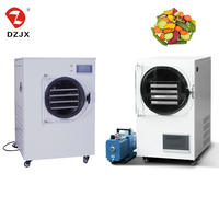 DZJX 1kg-6kg Kleine Mini Commerciële RVS Vacuümvriesdroger/Lyofilisator Droogmachine 220-240V