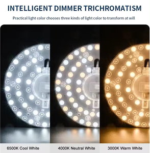 Módulo LED Redondo <span class=keywords><strong>Winway</strong></span> 3CCT de 12W 18W 24W 36W, Fuente de Luz LED IP20 para Lámpara de Techo - Product Image 4