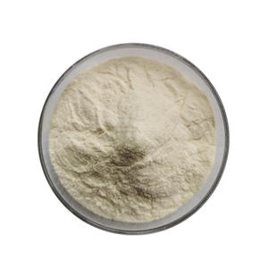 Poudre de chitosane de qualité alimentaire, degré de déacétylation élevé, chitosane soluble dans l'eau/l'acide - Product Image 1