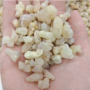 Cheap Price100%Natural Oman Frankincense High Purity Mastic <b>Gum</b> Oibanum Frankincense Incense Natural Frankincense Resin - Product Image 6