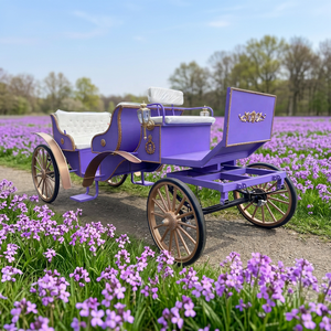 Populaire Carrosse de Mariage Victoria Électrique de Luxe Classique en Fer, Type Carrosse à Chevaux, avec Couleur Personnalisable, à Vendre - Product Image 1