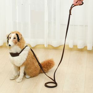 250cm starkes Hoch leistungs seil Geflochtenes integriertes Hunde halsband und Leine Verstellbares Anti-Kollisions-Halsband und Leine aus echtem Rindsleder - Product Image 3