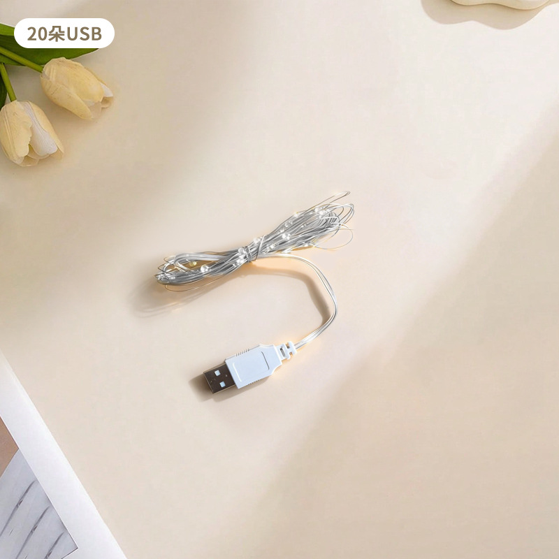 USB 2-meter 20 LED beads