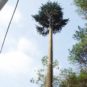 Ống đơn Bionic cây di động thông tin liên lạc tháp Viễn Thông phụ kiện - Product Image 3