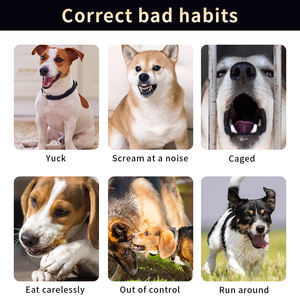 Nuevo <span class=keywords><strong>Collar</strong></span> de Adiestramiento Eléctrico Inteligente con Control Remoto, <span class=keywords><strong>Collar</strong></span> de Adiestramiento Ajustable e Impermeable para Múltiples Perros - Product Image 6