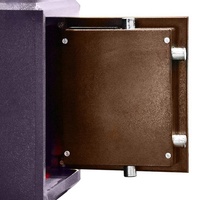 Coffre-Fort Dissimulé Antifeu en Acier de Qualité Professionnelle avec Serrure à Clé/Code Électronique, Multi-Usage pour la Sécurité Domestique, Couleur Personnalisable