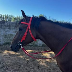 ホースケージロープライディングウォーターレインズハーネス用サイズヘッドギアアクセサリー付きGirth Equestrian Lead Rope and Water <span class=keywords><strong>Reins</strong></span> - Product Image 1