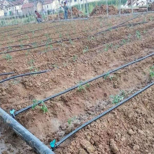 Высококачественная труба для капельного орошения Ldpe для сельского хозяйства по низкой цене - Product Image 1