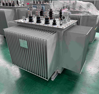 Transformateurs immergés dans l'huile S20 triphasés 50/60 Hz 6,6 kV 10 kV 11 kV vers 400 V 1250 kVA 2000 kVA 2500 kVA