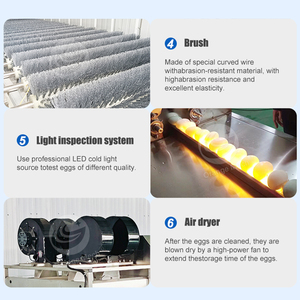 Orme thương mại trứng bùn Bàn chải máy vỏ trứng máy giặt trứng máy giặt sạch hơn để bán - Product Image 6