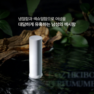 L'OZ Parfum Stick, senteur fraîche et boisée, sans alcool, écologique, parfum longue durée, portable pour femmes - Product Image 1