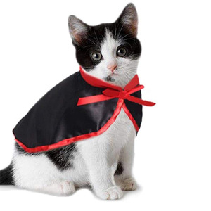 Sıcak Fırsat Klasik Düz Saten Kedi Köpek Dönüşüm Elbisesi Komik Cadı Şapkası Cadılar Bayramı Partisi Kutlaması Evcil Hayvan Kostüm Seti - Product Image 5