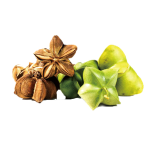 Extraction de plantes Plukenetia <span class=keywords><strong>Volubilis</strong></span> Inca Inchi Extraits de graines de plantes 10:1 Sacha Inchi Poudre - Product Image 3