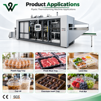 Machine de thermoformage servo entièrement automatique à grande vitesse, conforme aux normes CE, pour contenants alimentaires jetables écologiques en PS/PET/PP/HIPS