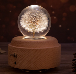 Caja de Música con Base Giratoria de Madera y Bola de Cristal con Patrón de Animales en 3D, Regalo Sorpresa para Niños - Product Image 1