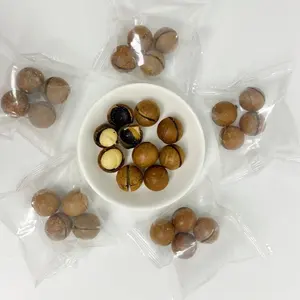 Wholesale High Quality Chinese Dry Roasted Macadamia Nuts In Shell For Sale Manufacturers