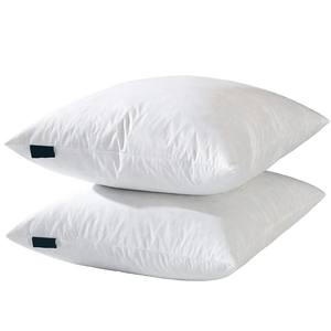 Almohadas Planas Ultra Delgadas para Cama, Tamaño Estándar, Juego de 2 (Paquete de 2), Delgadas - Product Image 1