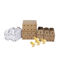 Boîte d'expédition pour poussins vivants en carton ondulé, design personnalisé, avec poignée, pelliculage mat, gaufrage, recyclable, tailles personnalisables