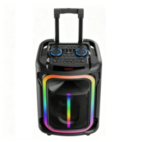 Altavoz Bluetooth de 100W RMS de Alto Volumen, Altavoz de Karaoke Recargable para Exteriores con Luces LED de Colores