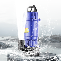 Pompe Submersible 110 V 50 Hz 370 W Diamètre 1 Pouce, Pompe d'Irrigation Agricole Submersible à Haute Pression et Grand Débit avec Coque en Aluminium