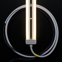 Tira de LED de Neón de la Serie 1020 de Largo Alcance, con Cero Caída de Voltaje, Resistente al Agua, para Decoración de Fachadas y Contornos de Edificios