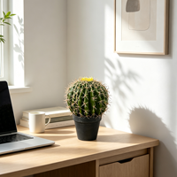 Plante succulente artificielle en PE de haute qualité et durable - Décoration intérieure pour la Saint-Valentin - Écologique, lavable et légère